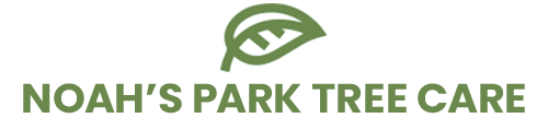 Noah's Park Tree Care