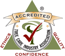 Accreditation Badge