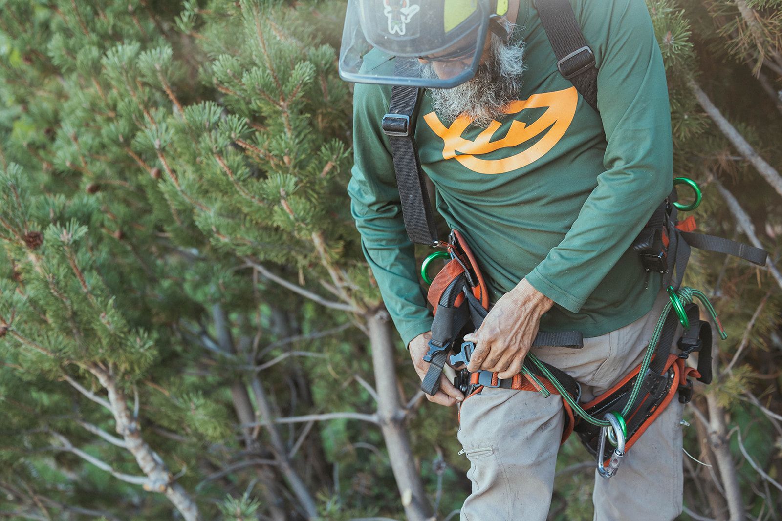 Tree service professional